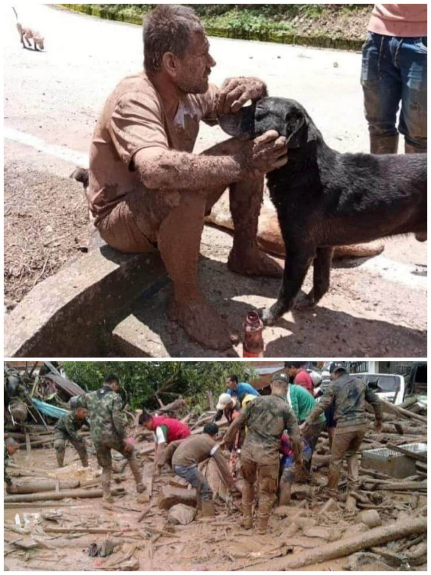 Se desconoce si esta tragedia ha dejado víctimas mortales.