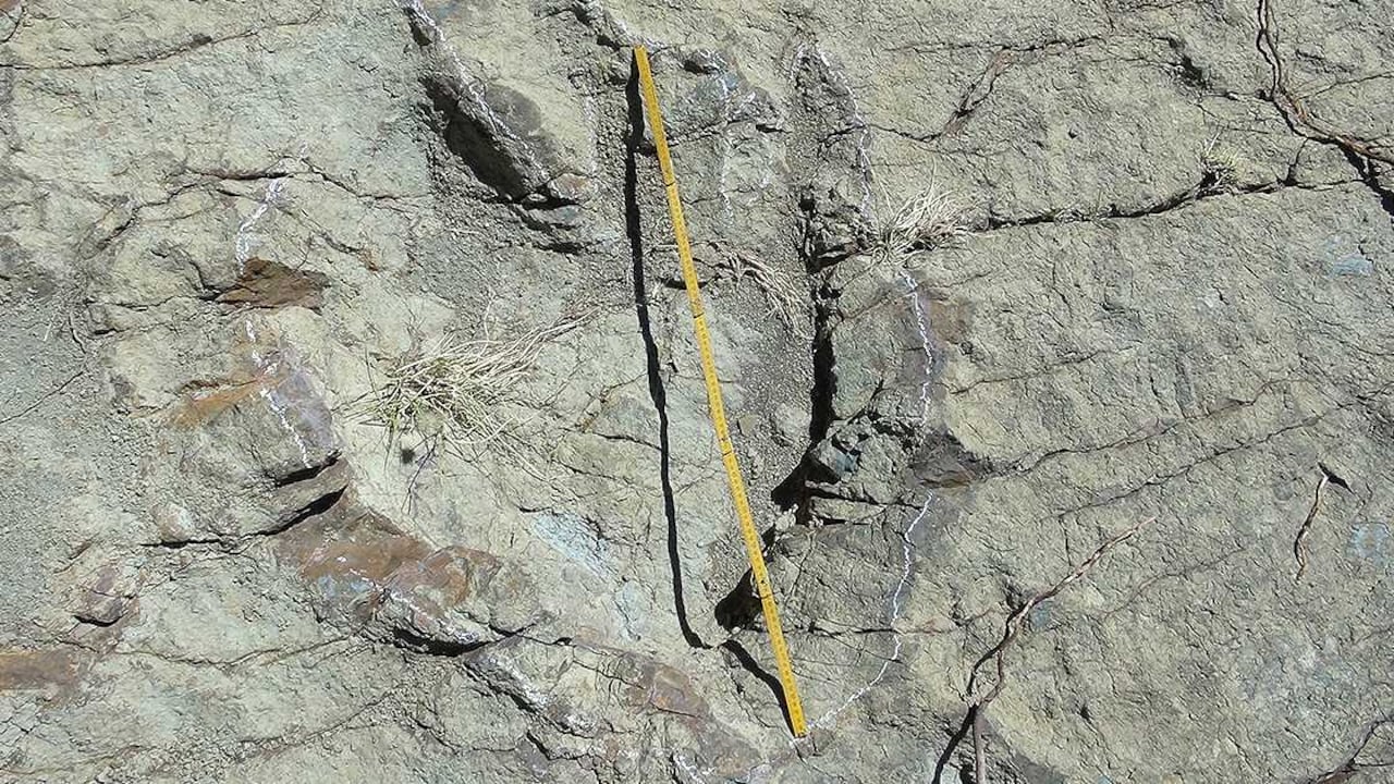 La huella del dinosaurio encontrado en Maragua Marka Quila Quila, tiene un diámetro de 1,2 metros. (Foto: AFP)