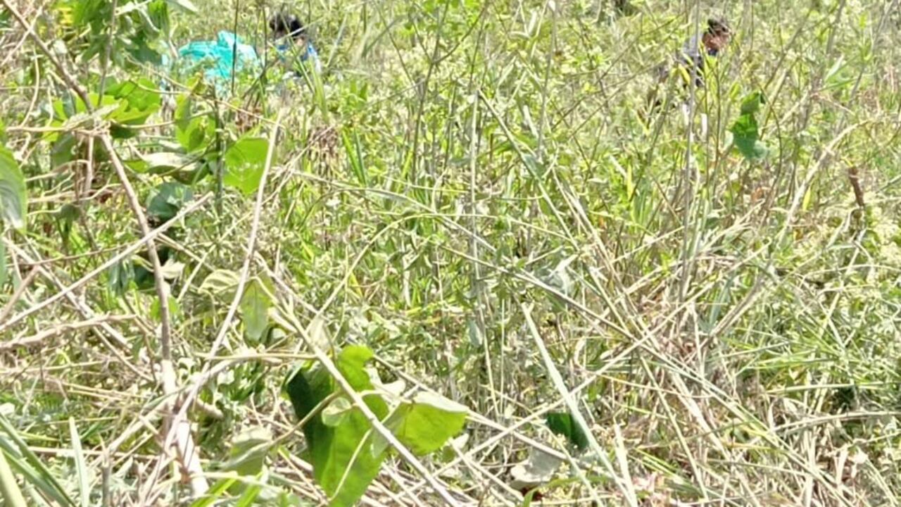 Al menos 5 menores murieron en el accidente.