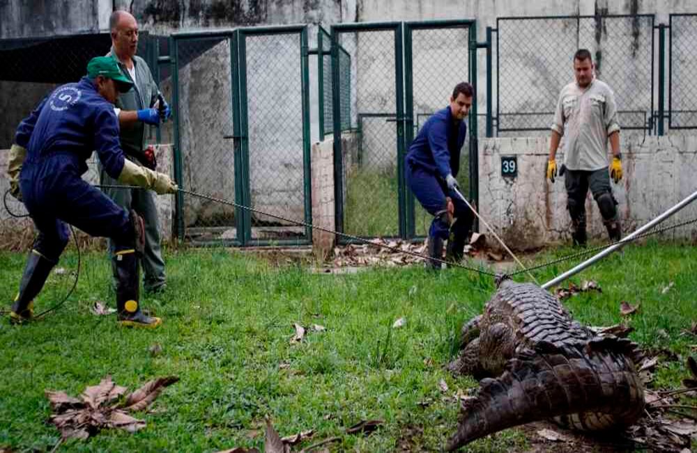 Foto: Ovidio González 