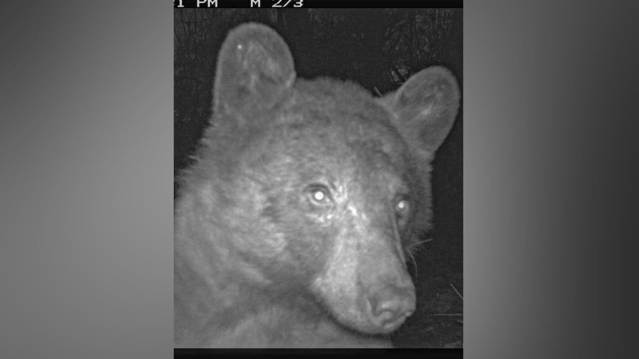 Imágenes de parque de Boulder, Colorado