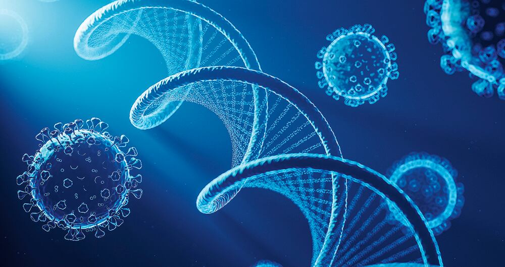 Más gemelos que nunca_3