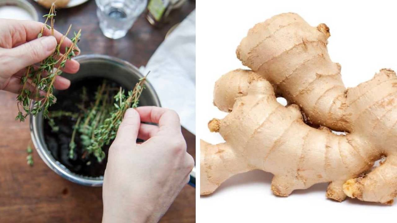 La infusión de tomillo y jengibre contiene propiedades antibióticas y digestivas para el organismo. Foto: montaje SEMANA.