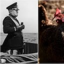 El cementerio de los animales en Roma cumple 100 años.