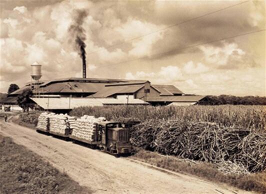 El departamento del Valle del Cauca es uno de los departamentos que más exportaciones ha logrado. 