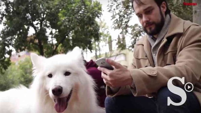 Kmimos es una página web en el que los bogotanos pueden encontrar quién les cuide a su perro o gato.