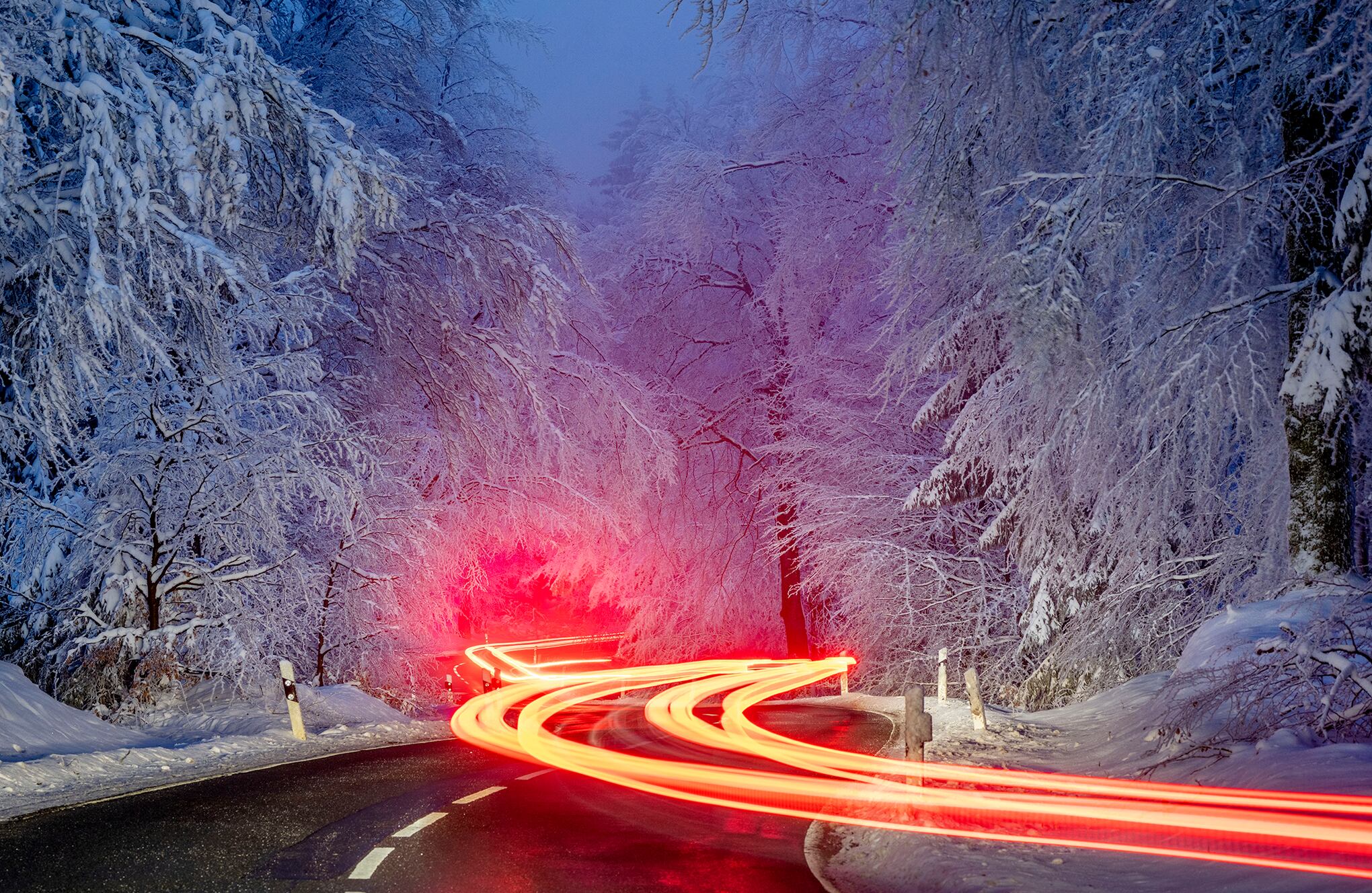 Fotos de la semana 27 enero