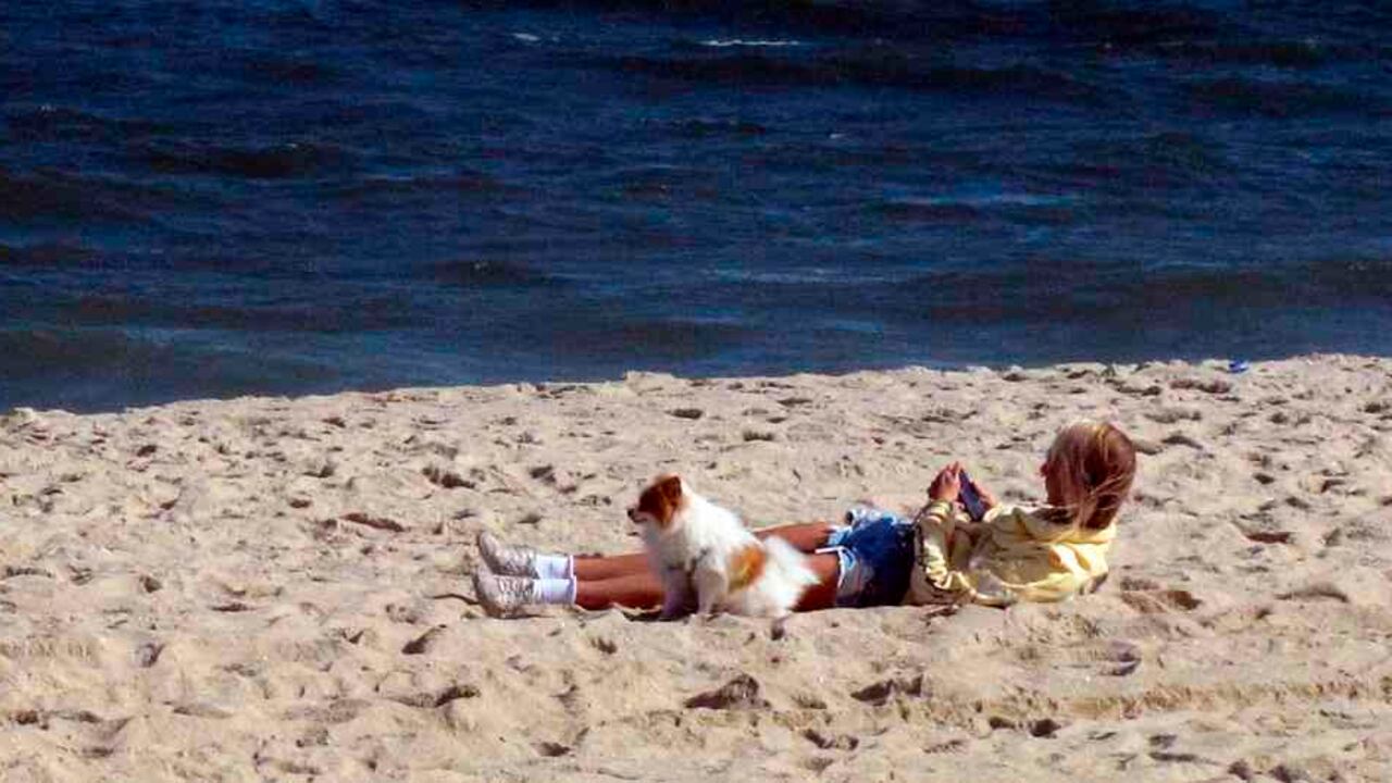 En 2018, en su quinta versión en Armenia, Colombia, la Macrorrueda de Turismo de la Alianza del Pacífico logró resultados por US$22,2 millones en expectativas de negocios multidestino, duplicando los del 2017.