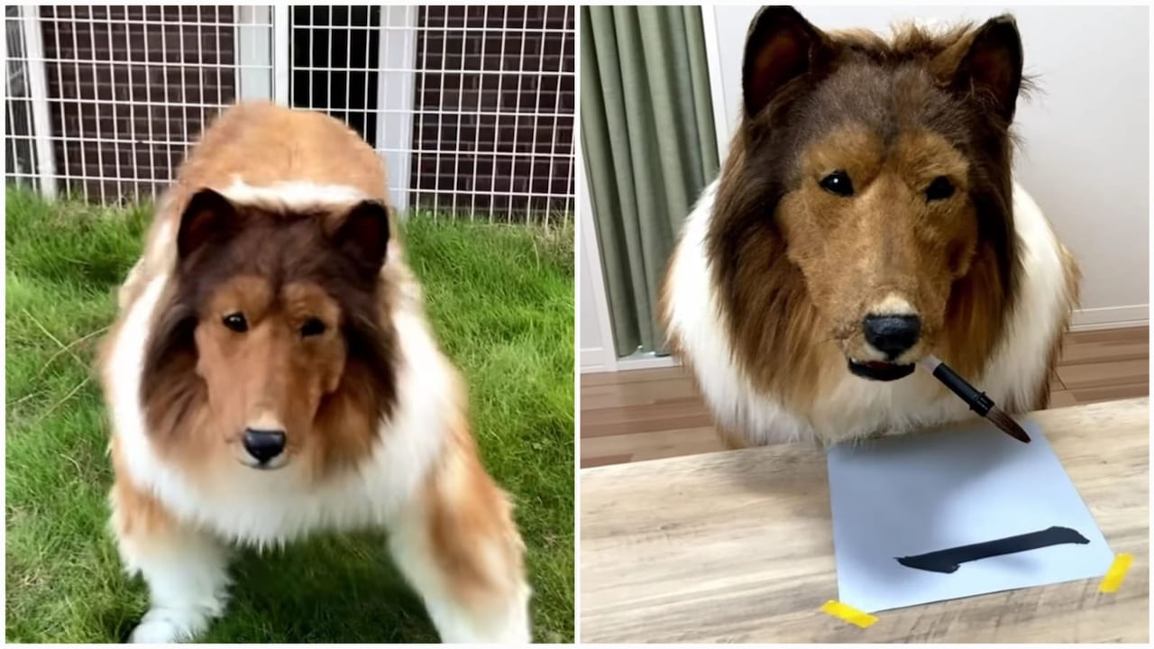 Japonés creó canal en YouTube en el que comparte sus pasatiempos como 'perro'.