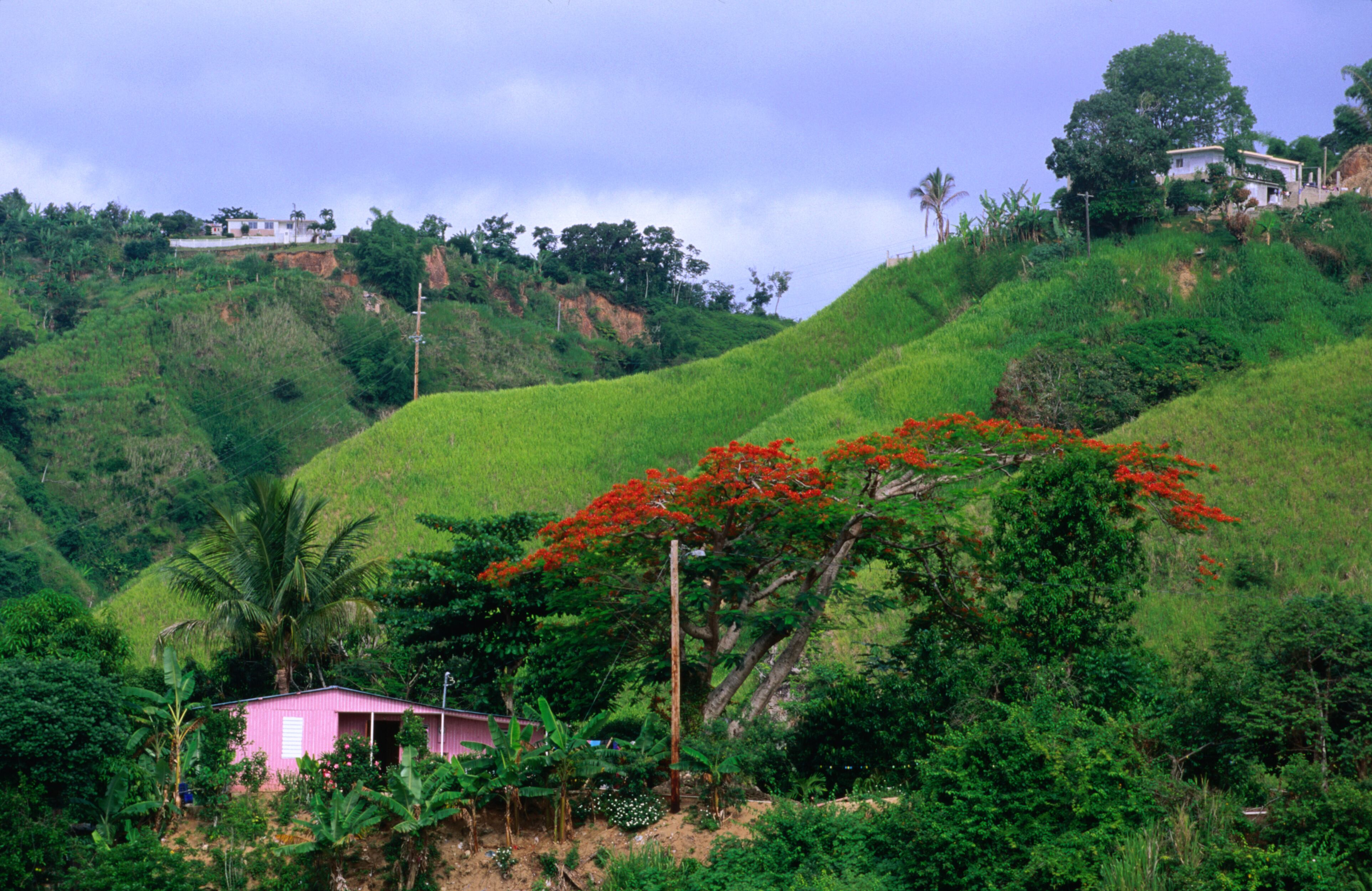 Puerto Rico, el paraíso que le cambió la vida a los Ratliff