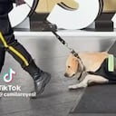 Denuncian maltrato animal en Centro Comercial Andino