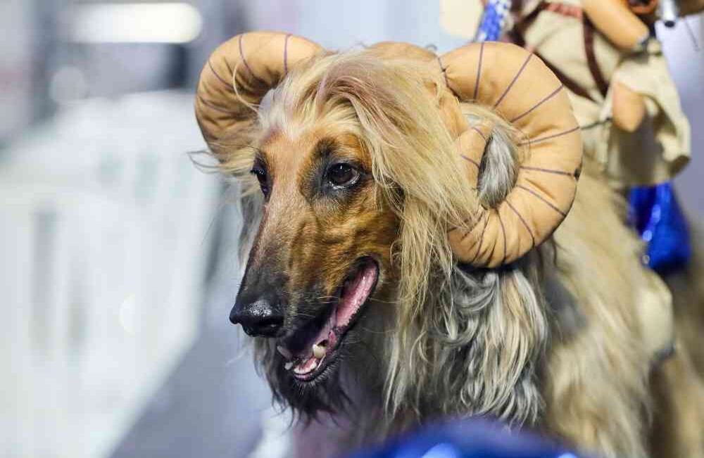 Foto: Carlos Julio Martínez / SEMANA