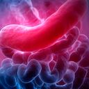 Expertos estudian los beneficios del plátano para prevenir el cáncer en el estómago.