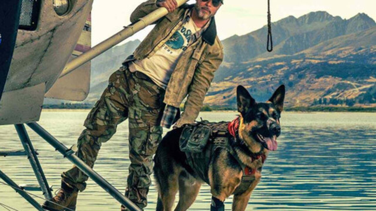‘El corazón de la bestia’: la historia del perro rescatista que actuó con Brad Pitt y que hizo llorar al público y a su director