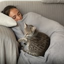 Se desvela el misterio detrás de la elección de los gatos al dormir junto a una persona.