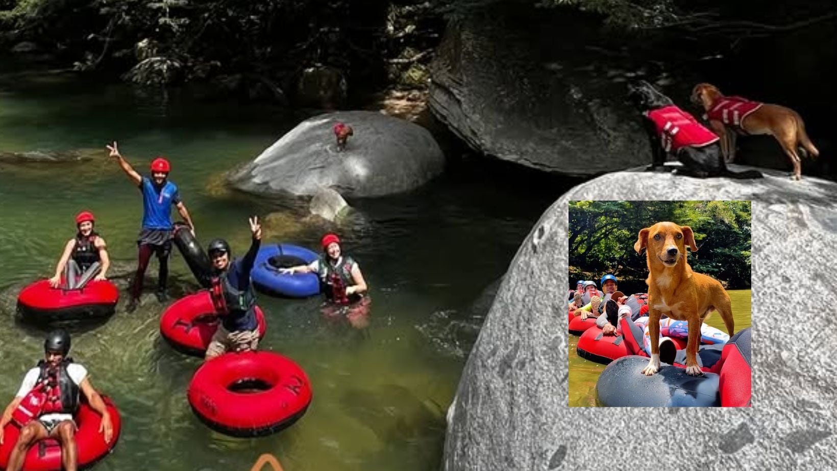 San Rafael, Antioquia