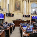 Inicio votación para escoger magistrado de la Corte Constitucional en el Senado.