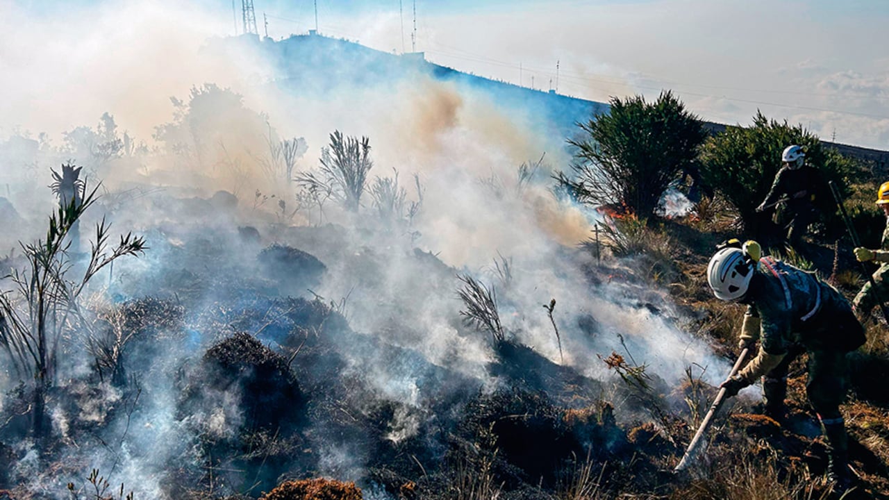 Páramos quemados por cuenta de los incendios forestales.