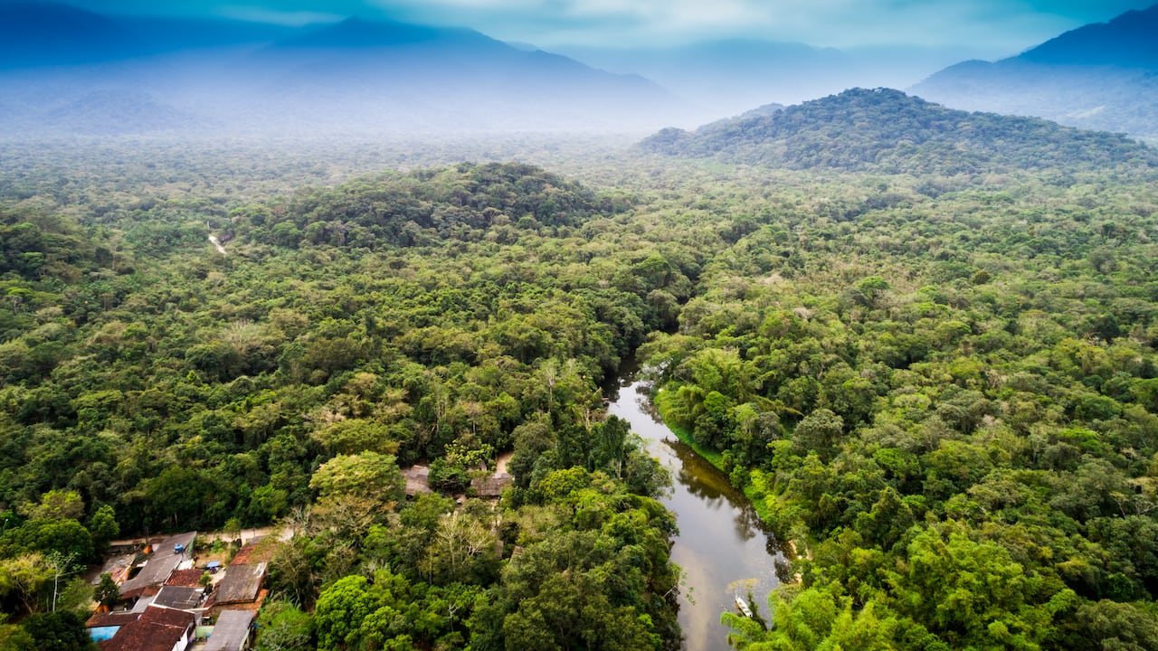 Más de 70 familias en Caquetá se han beneficiado de la iniciativa de Natura.
