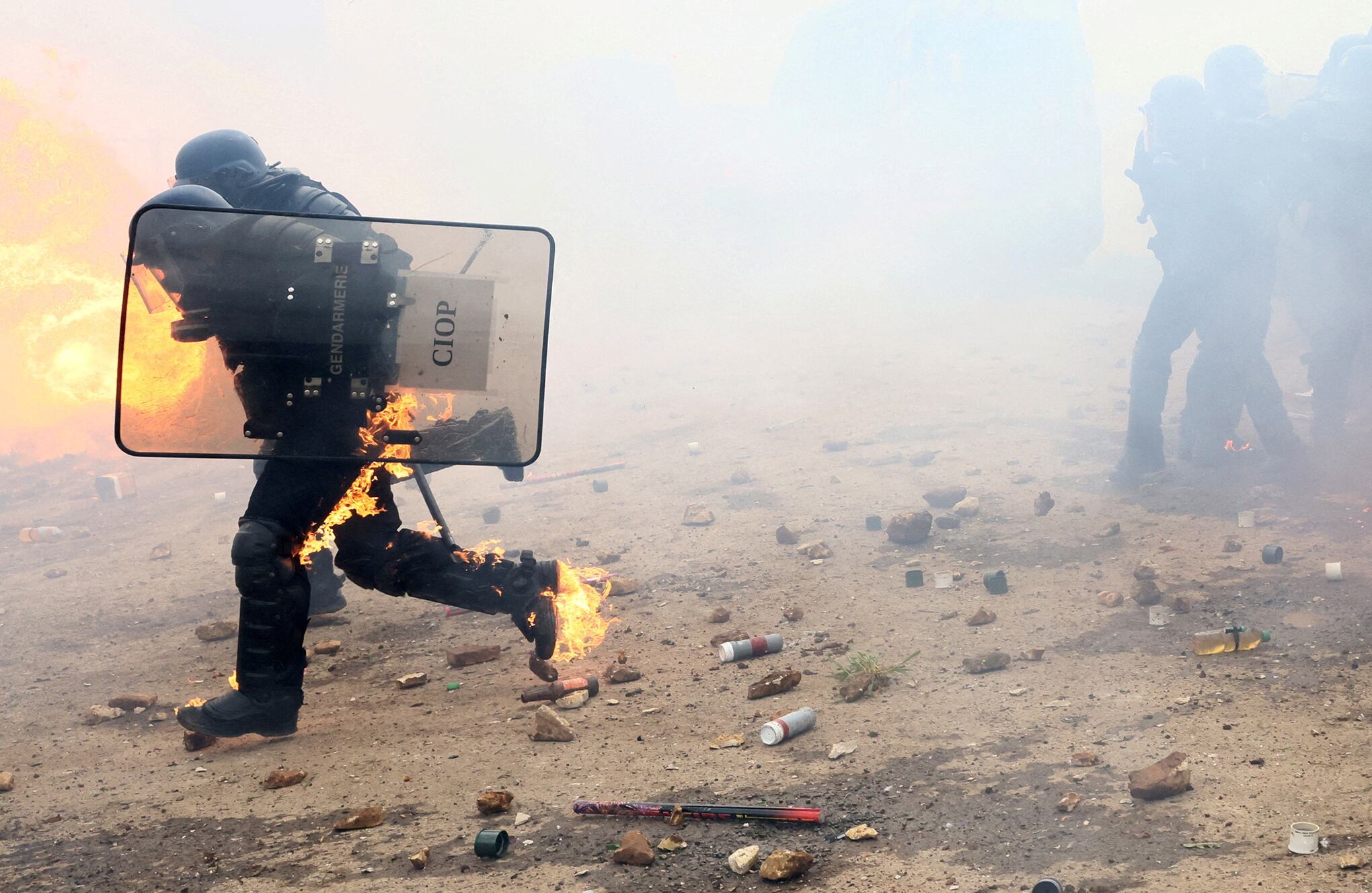 Fotos de la semana 31 marzo