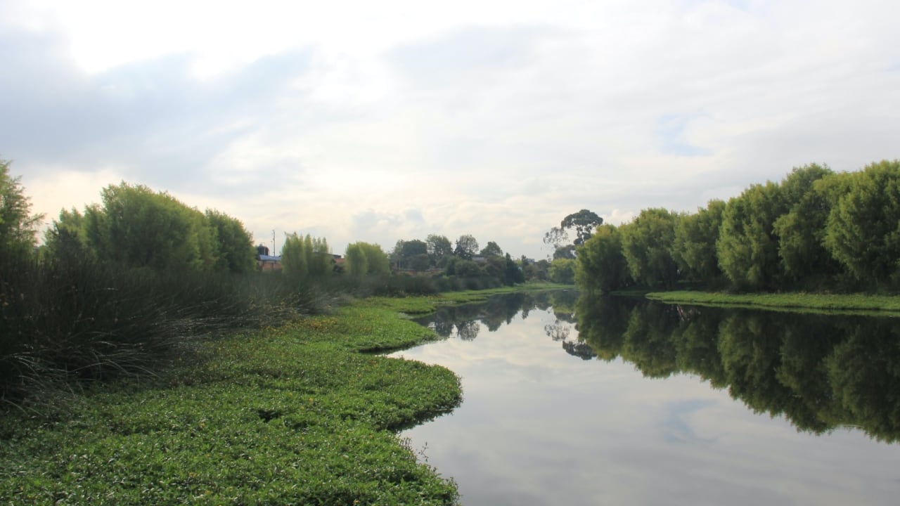 El Humedal La Vaca es un ejemplo de recuperación gracias al trabajo y el empeño de los ciudadanos.