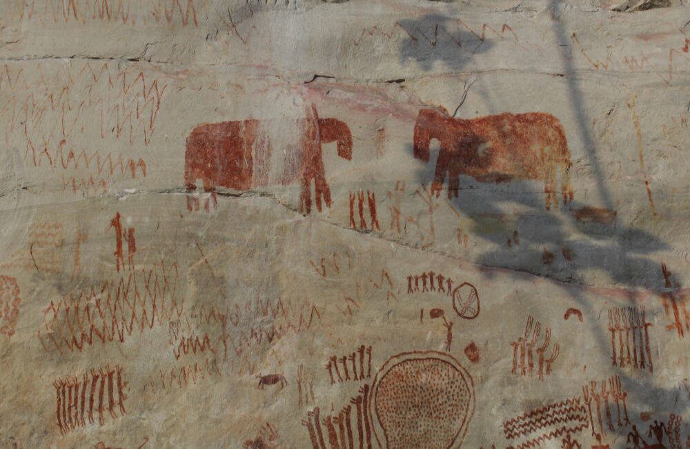 Panel pictográfico. Cortesía Heli Gaspar Morcote