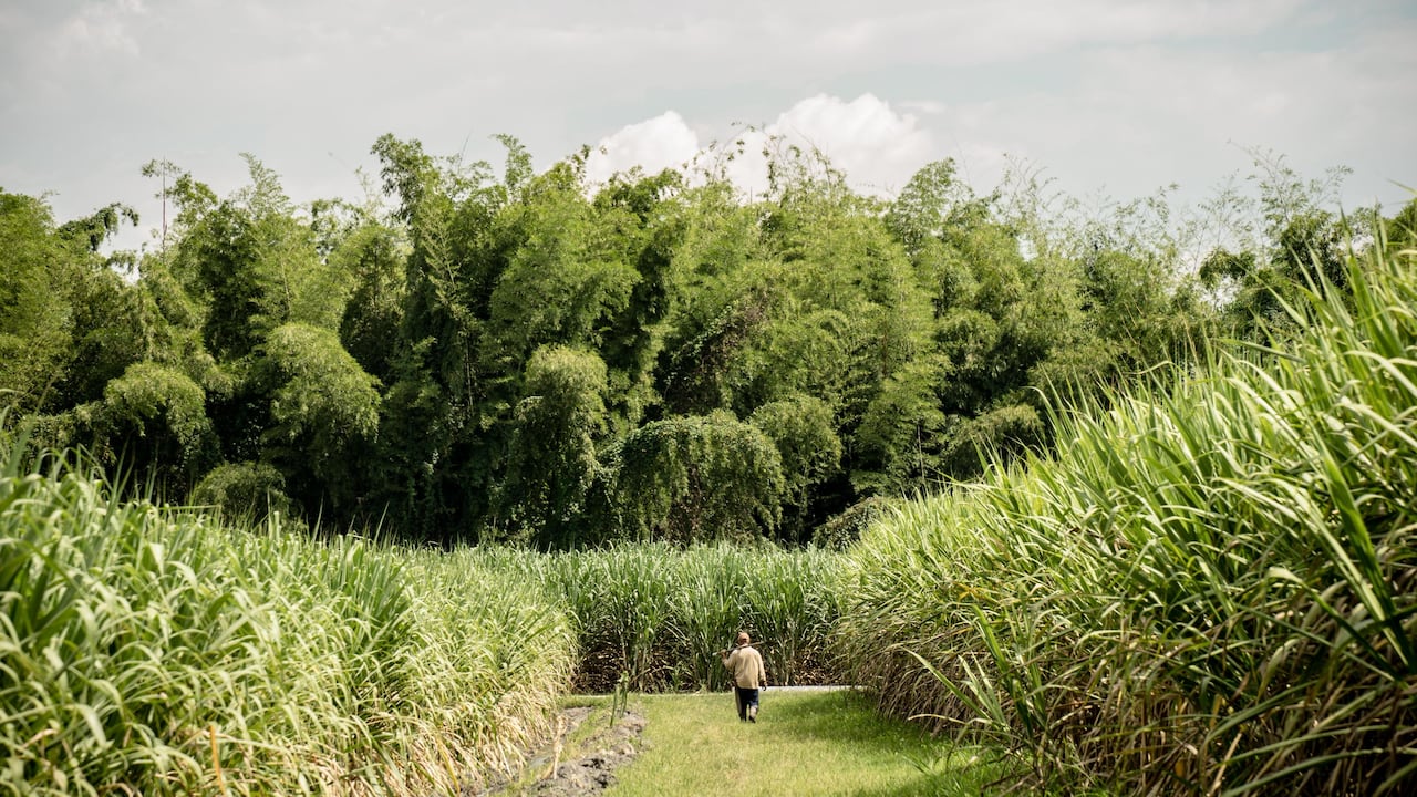 La bioeconomía y la innovación tecnológica marcaron la agenda del congreso.