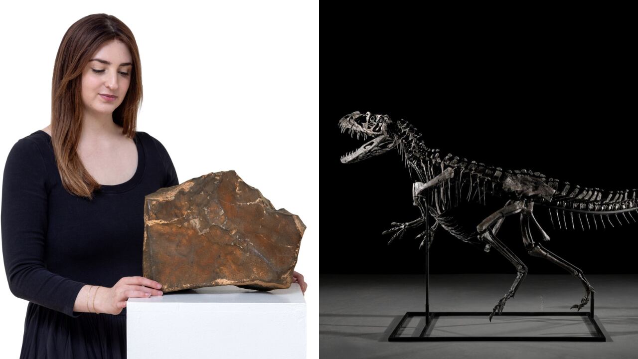 El meteorito marciano y un fósil raro fueron vendidos por montos sin precedentes.