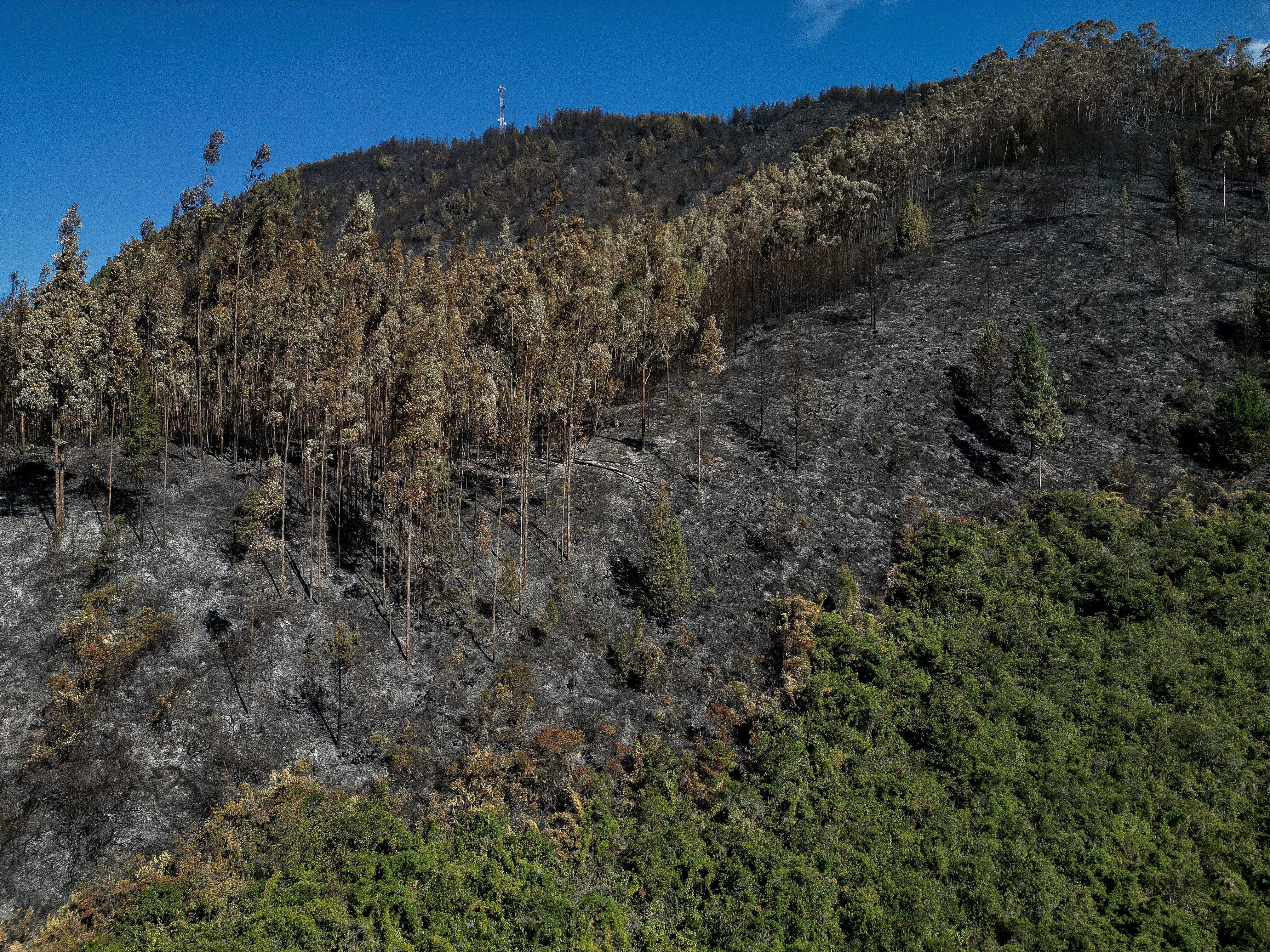 Vegetación devastada por los incendios en Nemocón