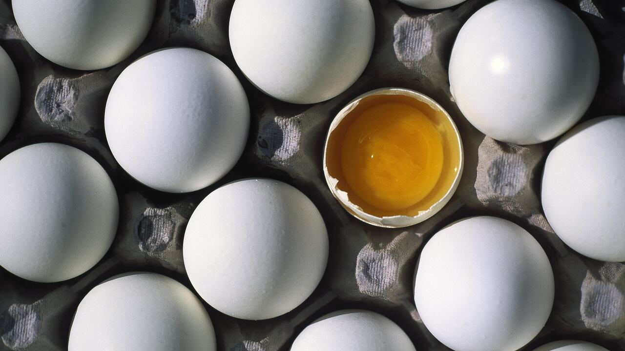 El huevo puede estar contaminado de Salmonella.