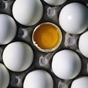 El huevo puede estar contaminado de Salmonella.