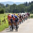 El grupo de ciclistas pedalea durante la 19.ª etapa de la 110.ª edición de la carrera ciclista del Tour de Francia de 173 km entre Moirans-en-Montagne y Poligny, en el departamento de Jura, en el centro-este de Francia, el 21 de julio de 2023. (Foto de Anne-Christine POUJOULAT / AFP)
