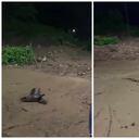 Las autoridades evalúan las afectaciones.