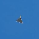 Washington advirtió en julio de que Irán planeaba transferir drones a Rusia "para su uso en la brutal guerra contra Ucrania".