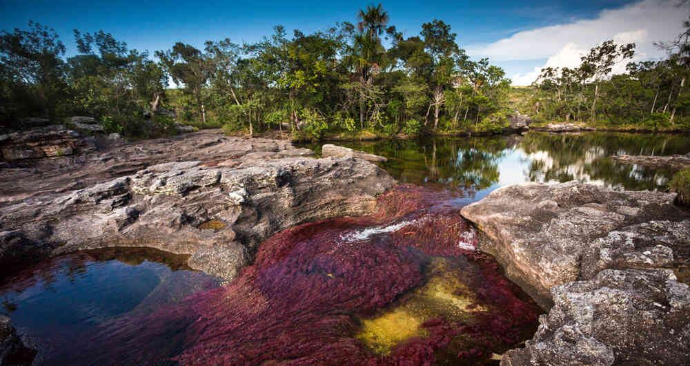 Caño Cristales, ubicado en el municipio de La Macarena, Meta. 