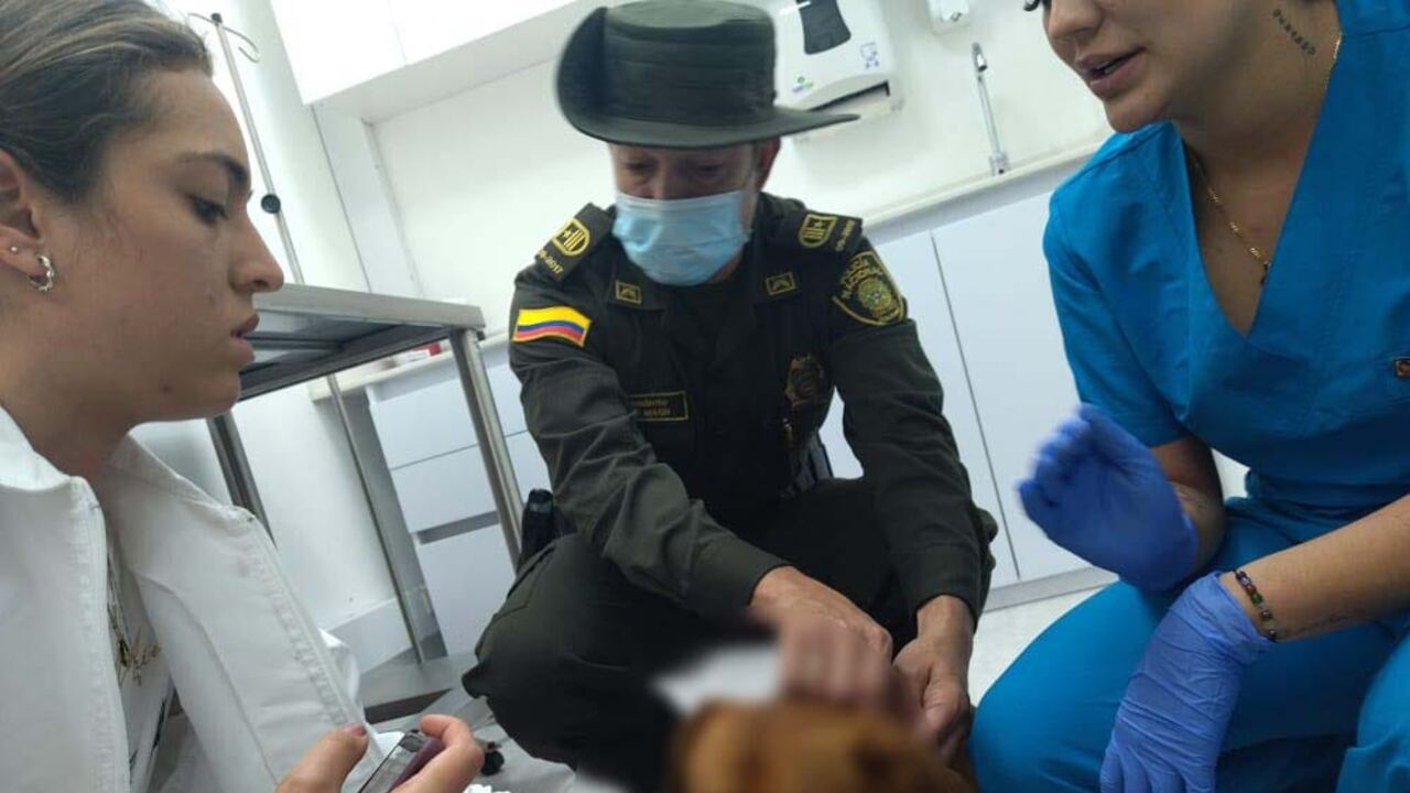 Policía atendió dos casos de maltrato animal en Medellín.
