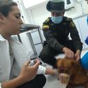 Policía atendió dos casos de maltrato animal en Medellín.