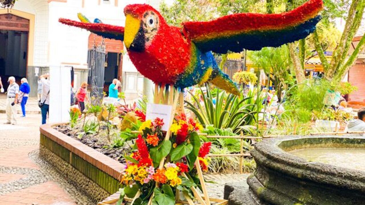 Doce silleteros de Santa Elena fueron los encargados de hacer las esculturas en flores de las aves endémicas de la región.