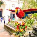 Doce silleteros de Santa Elena fueron los encargados de hacer las esculturas en flores de las aves endémicas de la región.