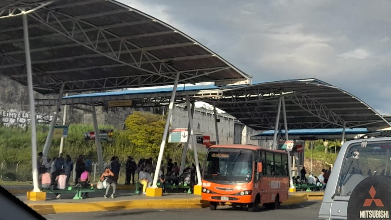 En Pereira se aplica el pico y placa en toda la zona urbana