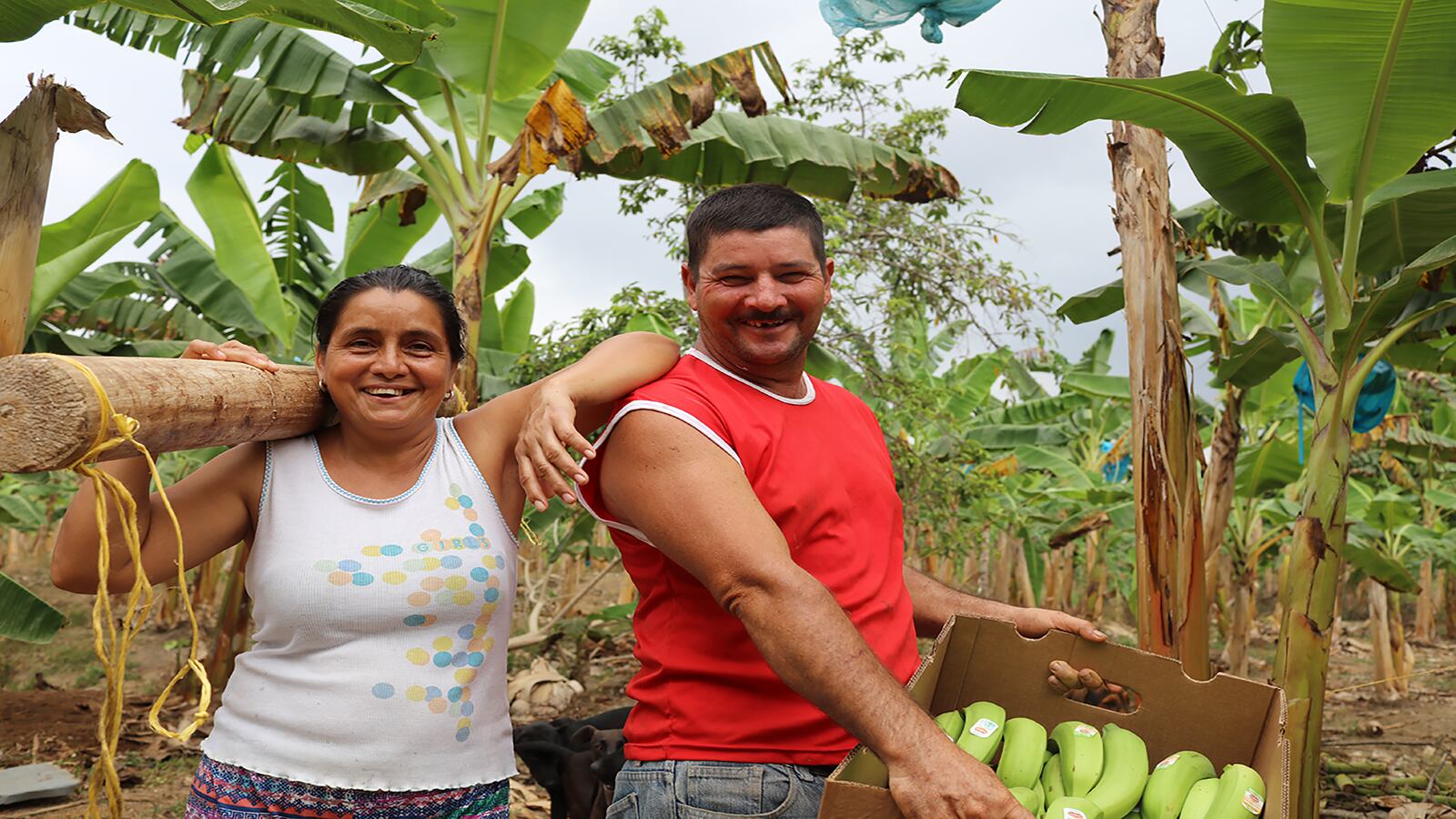 Pequeños negocios, el foco de la estrategia Creo, para financiar al colombiano que no tenía acceso al crédito formal, por falta de garantías.