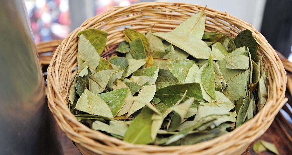 60% se retrasa el deterioro cognitivo en la vejez si se consumen diariamente suplementos nutricionales. 