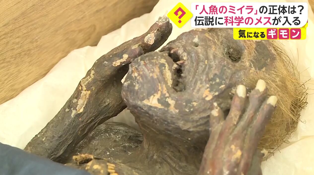 La leyenda que estaba construida a su alrededor indican que había caído en las redes de un pescador en el siglo XVIII