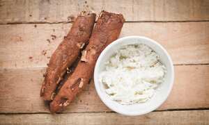 Así debe sembrar yuca.