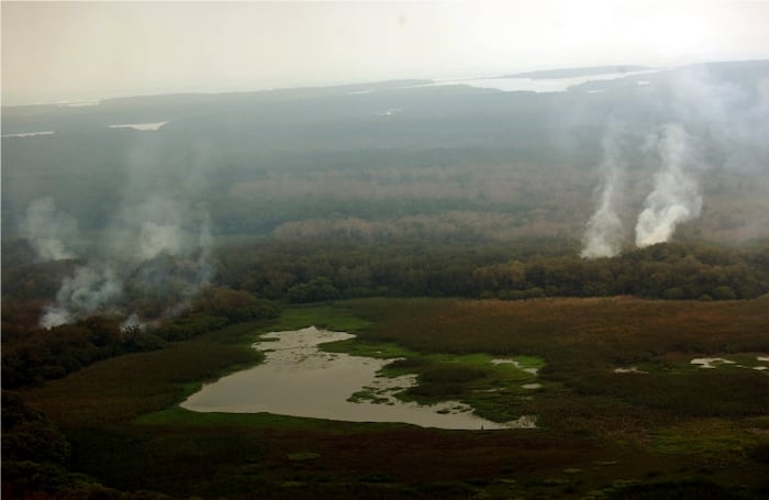 . En el mes de mayo, uno de los más calurosos, los incendios pueden ser provocados por las altas temperaturas y la descomposición de materia orgánica que produce gas metano, estos dos factores unidos a la imprudencia de pescadores que arrojan colillas de cigarrillos, pueden provocar incendios en la zona de mangle. A Salamanca ingresan muchos pescadores.