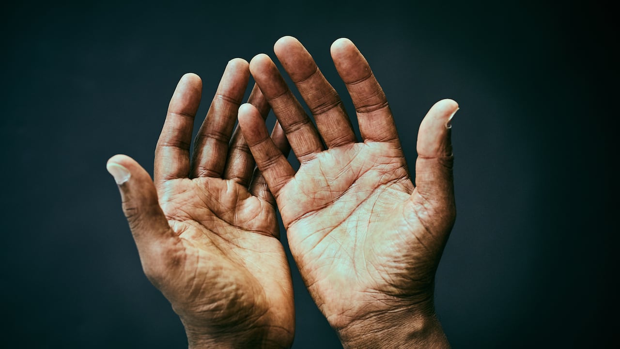 La naturaleza reutilizó mecanismos antiguos para crear una de las estructuras más útiles del cuerpo: los dedos.