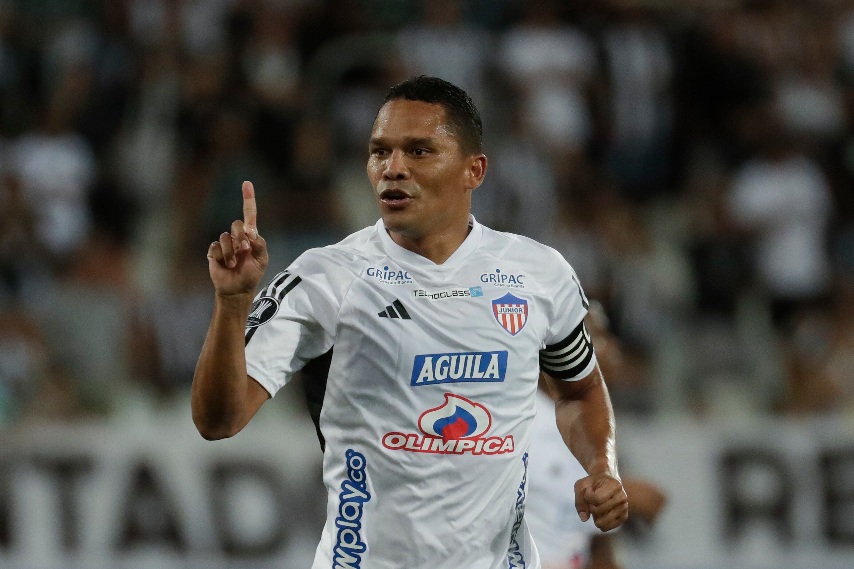 Botafogo vs Junior - fecha 1 - Copa Libertadores.