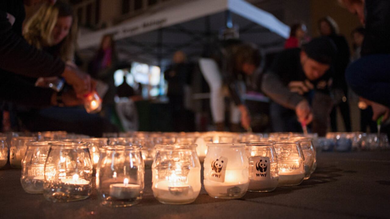 Rusia declaró este miércoles organización “indeseable” al Fondo Mundial para la Naturaleza (WWF), una medida que en la práctica prohíbe las actividades de esta oenegé ecologista en el país, donde se reprimen las voces críticas desde la ofensiva rusa en Ucrania. (Photo by Jesus Merida/SOPA Images/LightRocket via Getty Images)