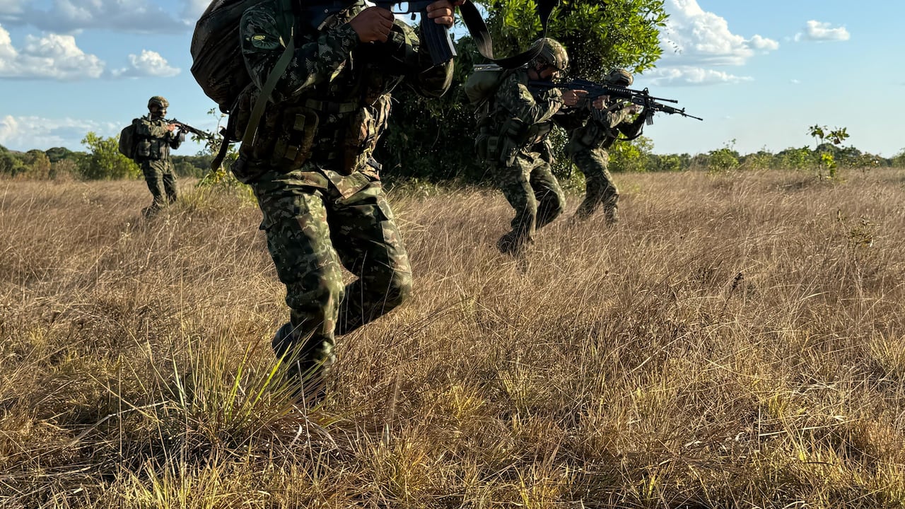 Afectación a las disidencias de la Segunda Marquetalia en el Vichada.
