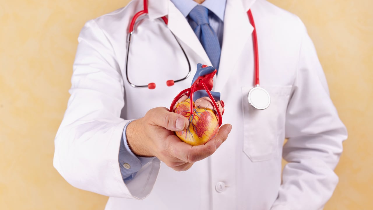 Descubrimientos científicos respaldan el uso de una planta medicinal antigua para mejorar la circulación sanguínea y prevenir enfermedades cardiovasculares.